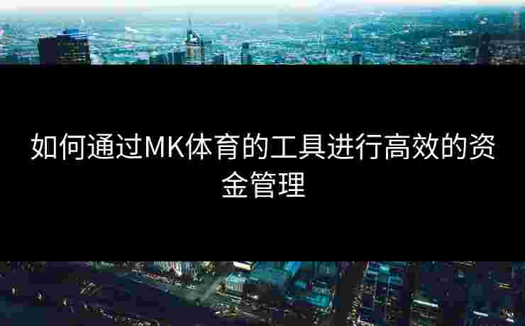 如何通过MK体育的工具进行高效的资金管理