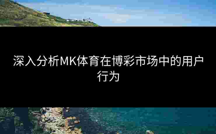 深入分析MK体育在博彩市场中的用户行为